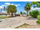 Wide backyard featuring mature trees and an in-ground swimming pool and a sports court at 1451 E Brown Rd, Mesa, AZ 85203