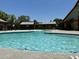 Inviting pool area surrounded by lush greenery, perfect for relaxation and recreation at 14793 W Surrey Dr, Surprise, AZ 85379