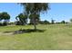Large grassy park with benches, playground equipment and shade, a wonderful place for recreation at 16631 E El Lago Blvd # 212, Fountain Hills, AZ 85268