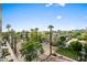 Panoramic street view of a neighborhood lined with palm trees and charming homes at 17 W Vernon Ave # 412, Phoenix, AZ 85003