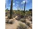 Scenic desert landscape featuring a variety of cacti and vegetation, bordering a lush golf course at 1725 E Staghorn Ln, Carefree, AZ 85377