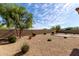 Relaxing backyard with low maintenance desert landscaping, mature trees, and block fence for added privacy at 18076 W Redwood Ln, Goodyear, AZ 85338