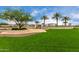 Community park with lush grass, shade trees, stone planters, and palm trees at 18076 W Redwood Ln, Goodyear, AZ 85338