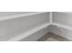 Walk-in pantry with shelving for optimal storage at 18189 W Hess St, Goodyear, AZ 85338