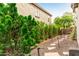 Well-maintained backyard featuring a stepping stone path and lush greenery, perfect for outdoor enjoyment at 27289 N 90Th Ave, Peoria, AZ 85383