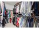 This walk-in closet has ample space with rows of hanging clothes and multiple levels of shelving at 27289 N 90Th Ave, Peoria, AZ 85383