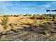 Beautiful landscaped community with walking path, playground, and picnic areas at 46922 W Coe St, Maricopa, AZ 85139