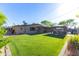 Beautiful backyard with lush green grass, covered patio, and outdoor kitchen at 8502 E Malcomb Dr, Scottsdale, AZ 85250