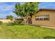 Expansive backyard featuring lush green lawn, mature trees, and access to a covered patio, creating an ideal outdoor retreat at 8644 E Roanoke Ave, Scottsdale, AZ 85257