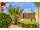 A beautiful backyard features artificial turf, a brick wall, and a tall palm tree at 8644 E Roanoke Ave, Scottsdale, AZ 85257
