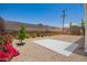 Landscaped backyard with stone ground cover and a blank concrete pad, suitable for entertaining at 9710 E Baywood Ave, Mesa, AZ 85208