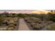 Scenic community view featuring desert landscape and mountain views at sunset at 10527 E Acacia Dr, Scottsdale, AZ 85255