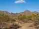 Desert landscape featuring cacti and shrubs, with mountains in the background on a sunny day at 10527 E Acacia Dr, Scottsdale, AZ 85255