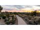 Scenic desert walking path with native plants, cacti and mountain views at 10527 E Acacia Dr, Scottsdale, AZ 85255