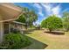 Green backyard with mature trees at 10860 W Cheryl Dr, Sun City, AZ 85351