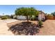 Lovely front yard featuring mature trees providing shade and curb appeal at 1116 S 53Rd St, Mesa, AZ 85206