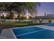 Large backyard featuring a pickle ball court, artificial lawn, mature trees, privacy wall and pool at 13365 N 74Th St, Scottsdale, AZ 85260