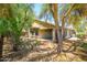 Backyard exterior with covered patio, privacy wall, shade trees and gravel landscaping at 14237 W Aster Dr, Surprise, AZ 85379
