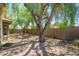 Spacious backyard featuring mature landscaping, rock ground cover, and block wall fencing at 14237 W Aster Dr, Surprise, AZ 85379
