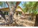 Backyard exterior with shade trees, privacy fence, gravel landscaping and covered patio at 14237 W Aster Dr, Surprise, AZ 85379