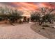 Expansive property featuring mature desert landscaping and a circular paved driveway at 14760 E Paradise Dr, Fountain Hills, AZ 85268