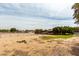 Large horse property includes metal pipe fencing, a covered shelter, mature trees, and sandy soil at 16222 W Augusta Ave, Litchfield Park, AZ 85340