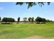 Expansive green space perfect for outdoor activities and recreation, featuring lush grass and shade trees at 16418 W Whitehorn Way, Surprise, AZ 85387