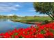 Scenic golf course view with a lake, lush green fairway, and vibrant red flowers at 19550 N Grayhawk Dr # 1039, Scottsdale, AZ 85255