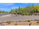 Community entrance sign 'Cachet at Grayhawk' surrounded by desert landscaping and lush greenery at 19550 N Grayhawk Dr # 1039, Scottsdale, AZ 85255