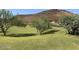 Expansive green space with mature trees, and views of the adjacent hills, perfect for outdoor activities and relaxation at 2339 E Questa Dr, Phoenix, AZ 85024