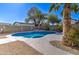 A freeform blue pool is surrounded by palm trees and a concrete walkway in the backyard at 2421 E Dragoon Ave, Mesa, AZ 85204