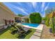 Lush backyard with a sparkling pool, lounge chairs, and manicured landscaping at 2634 E Tamarisk St, Gilbert, AZ 85296
