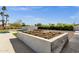 Expansive backyard featuring a pool, grill, seating, and mature landscaping at 5112 E Cholla St, Scottsdale, AZ 85254