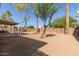 Large backyard featuring mature shade trees and a covered patio area at 6139 N 31St Dr, Phoenix, AZ 85017
