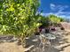 Landscaped backyard features an outdoor dining set and lush plants under a bright blue sky at 6626 W Monona Dr, Glendale, AZ 85308
