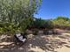 Inviting backyard with lush greenery and a cozy seating area for relaxation and enjoyment at 6626 W Monona Dr, Glendale, AZ 85308