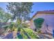 Backyard featuring green grass, rocks, and bushes at 9967 W Devonshire Ave, Phoenix, AZ 85037