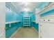 Spacious walk-in closet with custom shelving, and a blue accent wall at 1014 S Porter St, Gilbert, AZ 85296