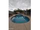Backyard view of the in-ground swimming pool surrounded by patio, yard, and privacy fence at 10201 S 49Th St, Phoenix, AZ 85044