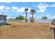 Large backyard with two tall palm trees and a block fence offering privacy and space for outdoor living at 1027 S Lola Ln, Tempe, AZ 85281