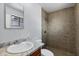 Updated bathroom with a large tiled shower at 1027 S Lola Ln, Tempe, AZ 85281