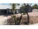 A well-maintained home with gray paint, a white door, and desert-style landscaping at 1027 S Lola Ln, Tempe, AZ 85281