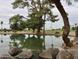 Scenic view of a pond with lush trees reflecting in the water, set in a tranquil landscape, complemented by desert scenery at 10428 W Camelot Cir, Sun City, AZ 85351