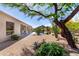 Expansive backyard with desert landscaping, a sparkling pool, and mountain views at 11662 E Parkview Ln, Scottsdale, AZ 85255