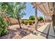 Spacious backyard featuring gravel landscaping, mature trees, flowering bushes, and a covered patio area at 17429 W Red Bird Rd, Surprise, AZ 85387