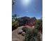 Charming single-story home with desert landscaping in the front yard featuring a variety of plants and rocks at 18415 W Surprise Farms N Loop, Surprise, AZ 85388