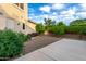 Backyard with gravel, tomato plant, trees and a concrete patio provides a blank canvas for outdoor living at 2111 E Azalea Dr, Chandler, AZ 85286