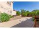 Backyard with gravel, tomato plant, trees and a concrete patio provides a blank canvas for outdoor living at 2111 E Azalea Dr, Chandler, AZ 85286