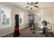 Well-lit exercise room with ceiling fan featuring workout machine, exercise bike, and punching bag at 2111 E Azalea Dr, Chandler, AZ 85286