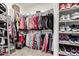 Organized walk-in closet with shelving and plenty of room for storage at 22495 E Silver Creek Ln, Queen Creek, AZ 85142